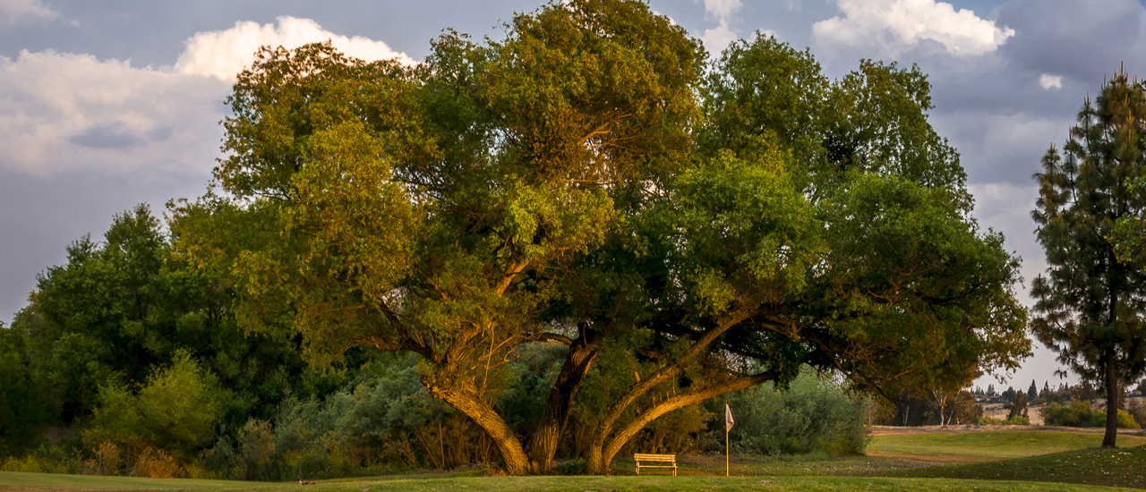 Bluff Pointe Golf Course